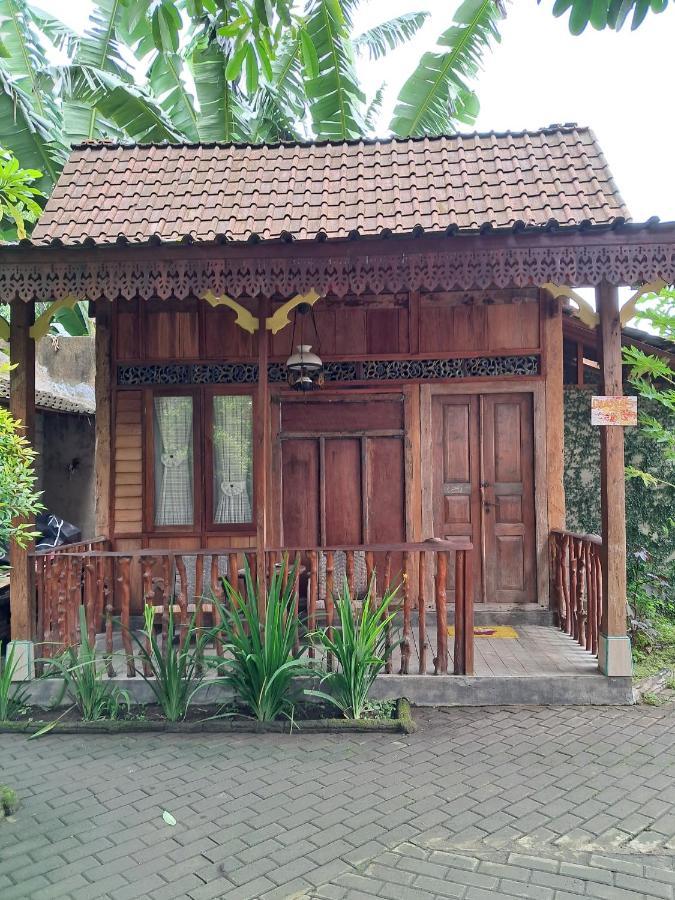 בניוואנגי Diana'S Homestay מראה חיצוני תמונה