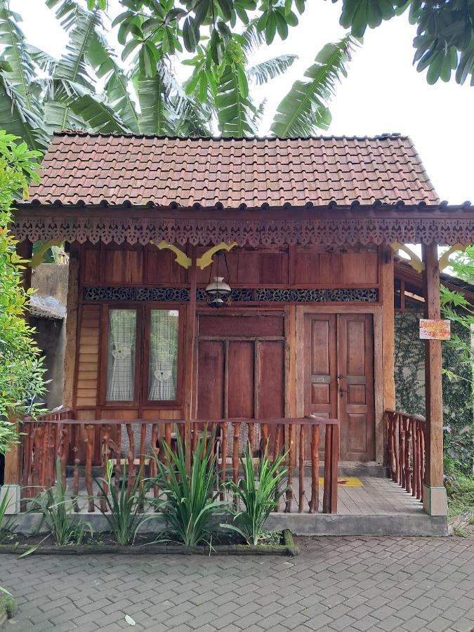בניוואנגי Diana'S Homestay מראה חיצוני תמונה
